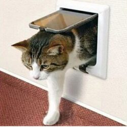 cat mate wall liner