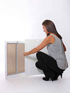 PlexiDor security plate installation