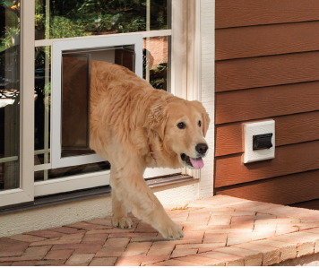 Glass Door And Install A Pet, How To Install A Pet Door In Sliding Glass