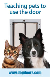 Teaching pets to use a pet door